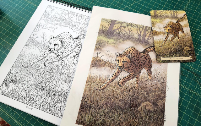 Photo of the cheetah as coloring book line art, the original ink and watercolor painting, and the oracle card. The cheetah image shows a cheetah running swiftly toward the viewer in a grassy field, dust being kicked up behind it.