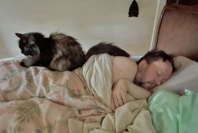 An unshaven Caucasian person with pinkish skin is sleeping on his side under a floral comforter. Sitting on his stretched out hip and upper leg is a senior long-haired tortie cat, mostly dark brown with tan and grey highlights. The cat is facing the other direction patiently waiting for me to get up and give her breakfast.
