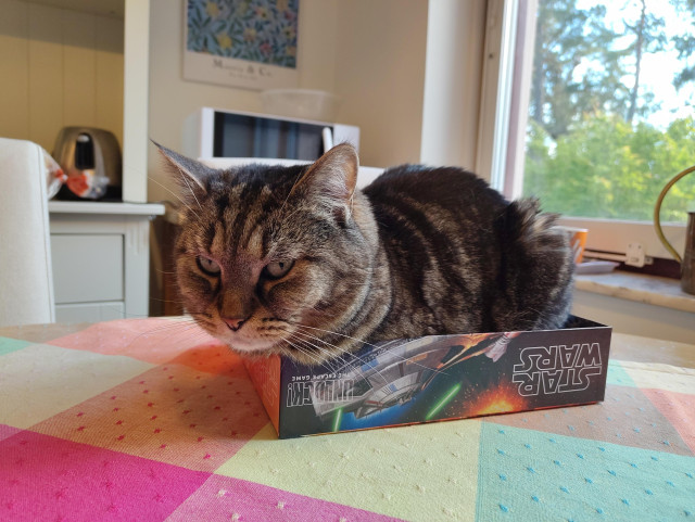 Katten Morris som ligger i lådan till Star Wars Unlock