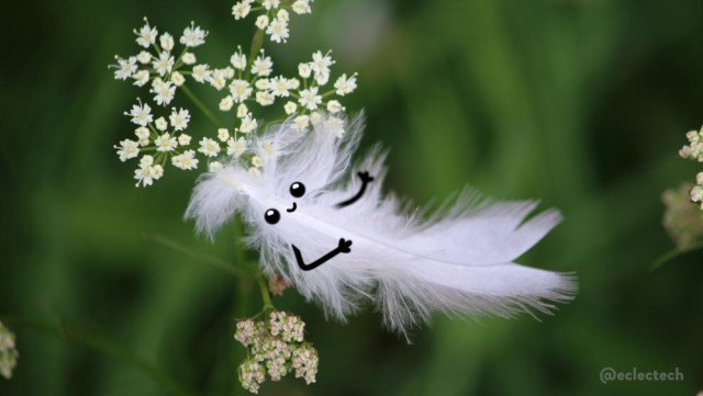 A photo of a fluffy white feather caught in some small white flowers in my lawn (very blurred grass forms the background). The feather is at a leisurely angle, lying back on the flowers. It has a wee smiling face and arms drawn on. One arm rests across its front, the other is raised in greeting.