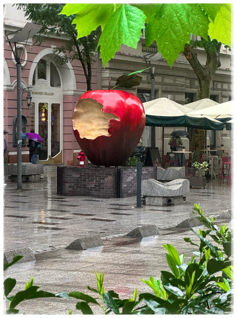 Taken on the same day in Budapest where it was very rainy is a photo of a sculpture of a big red apple that has had  a bite taken out of it. It is sitting on a gray brick pedestal and has a green leaf sticking out of the stem. It's sitting in the middle of a shopping district. A store or two can be seen in the background with a few people and their umbrellas. Behind the Apple are three table umbrellas but no one is sitting outside because of the rain. The top of the picture shows three large green leaves with raindrops on them. The foreground is mainly gray wet cement and a walkway with some green shrubbery towards the bottom right.