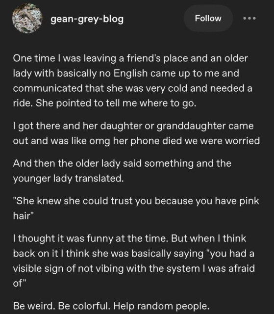 A Tumblr post by gean-grey-blog that says "One time I was leaving a friend's place and an older lady with basically no English came up to me and communicated that she was very cold and needed a ride. She pointed to tell me where to go. I got there and her daughter or granddaughter came out and was like omg her phone died we were worried. And then the older lady said something and the younger lady translated "she knew she could trust you because you had pink hair". I thought it was funny at the time. But when I think back on it I think she was basically saying you had a visible sign of not vibing with the system I was afraid of". Be weird. Be colorful. Help random people.
