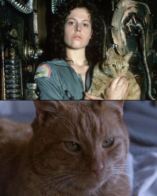 Ripley from Aliens  & the cat Jonesy