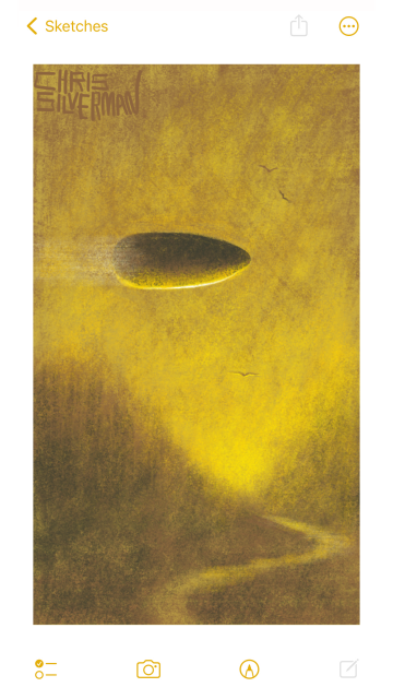 A gold-colored landscape: blurry brown trees, yellow sunlight on the horizon, and a winding path. A few birds circle in the sky. Hurtling into view from the left is a giant, airship-sized bullet, because you never know—some things one doesn't see coming. The painting is signed "Chris Silverman".