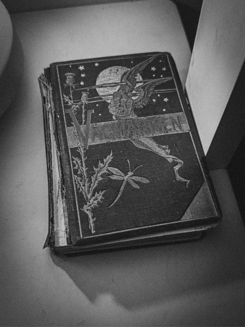 A black and white close-up of a worn antique Swedish book titled “Vägmärken”. The dark embossed cloth cover is decorated with intricate illustrations of a winged figure against a moon and stars, thistle plants, botanical motifs and a flowing ribbon. The spine is frayed and the pages yellowed with age. The book rests on a pale surface in dim, moody light.