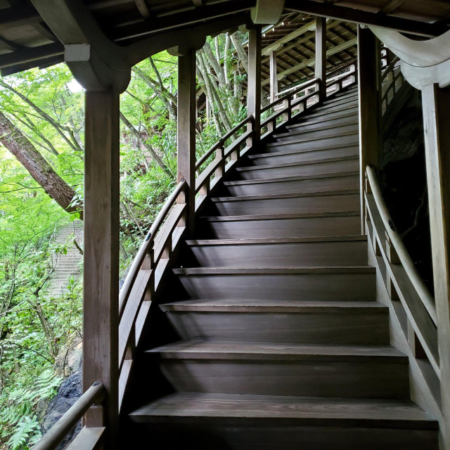The 'Reclining Dragon Corridor' curls up the mountainside from the Founder's Hall at Eikan-do like the spine of a resting dragon.