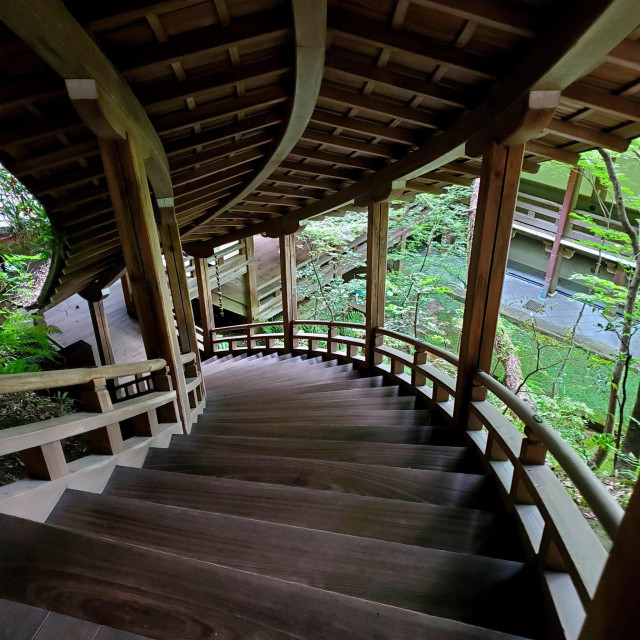 The 'Reclining Dragon Corridor' curls up the mountainside from the Founder's Hall at Eikan-do like the spine of a resting dragon.