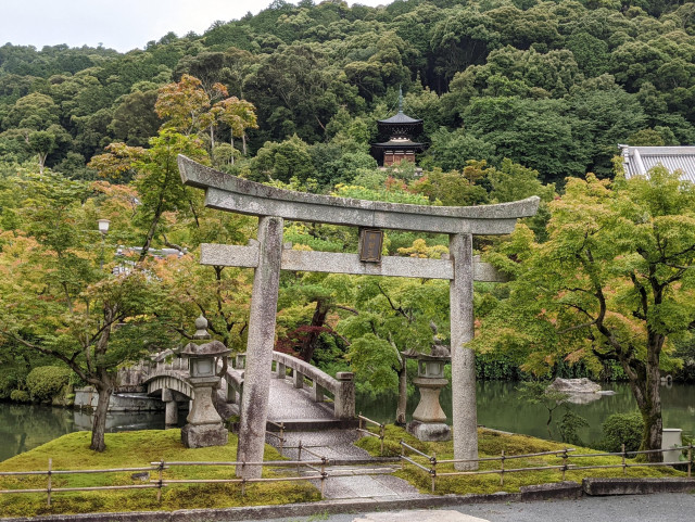 A view of the pond and hillside pagoda at Eikan-do.