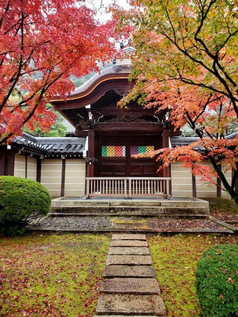 Eikan-do's imperial envoy gate framed by autumn leaves.