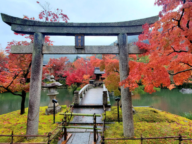 The shrine to Benzaiten on a small island on Eikan-do's pond (during autumn colours).