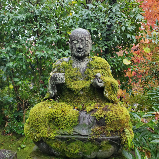 A seated stone statue at Eikan-do garbed in moss.