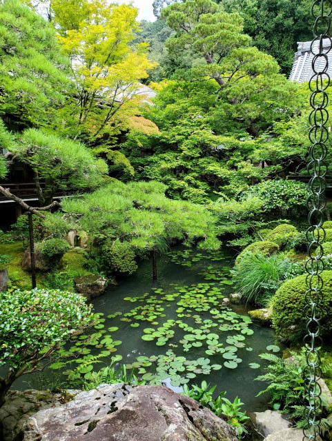 The pond in the abbot's quarters at Eikan-do.