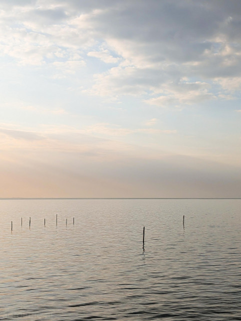 A serene, minimalist photo capturing a vast, calm body of water meeting a hazy sky at a soft, straight horizon line.

The upper portion of the frame is filled with a pale sky covered in a layer of soft, textured clouds. The light is gentle and diffused with subtle hints of warm peach and gold tones blending into cooler blues and grays near the top.

The water is relatively still, featuring gentle, rippling waves that create horizontal patterns across the foreground. It beautifully mirrors the muted, soft colors of the sky.

A scattering of thin, dark wooden poles or stakes juts vertically out of the water. These poles add a subtle sense of scale, depth, and a touch of mystery to an otherwise wide-open landscape.