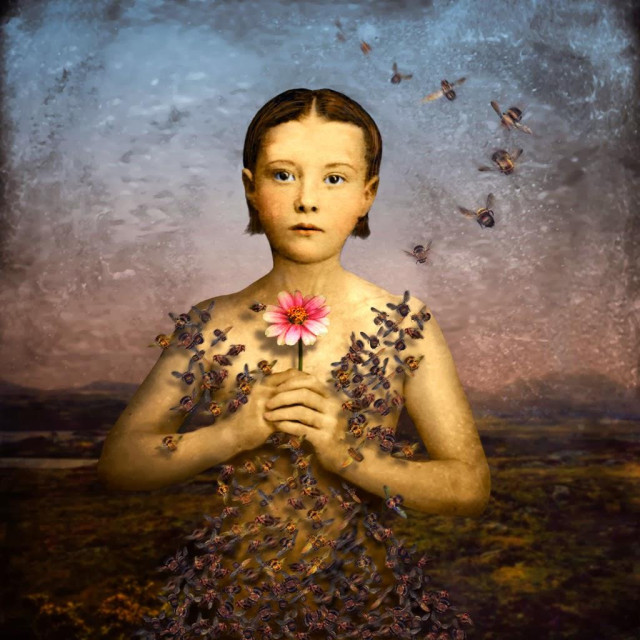 Artwork by Maggie Taylor from 2004, her ”Girl in a Bee Dress”. A young girl with a short bob, holding a pink flower, wearing only friendly bees. It’s been living in my head for 20+ years and I find it hauntingly beautiful…