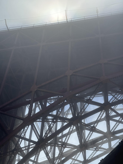 The underside of the Golden Gate Bridge. The sun through the railing makes interesting shadows in the fog and bright sunlight behind it. The lattice of supports underneath it are a web of hexagonal lines.