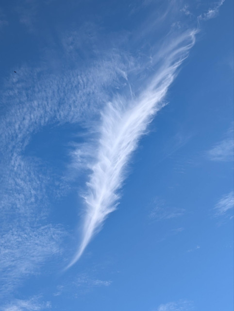 A very white cloud in a very blue sky but the shape is unusual. It looks very much like a white feather with a distinctive central spine, slightly twisted like an ancient quill, with feathery wisps spreading out.