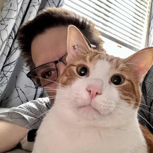 Photobombed by an orange cat.
