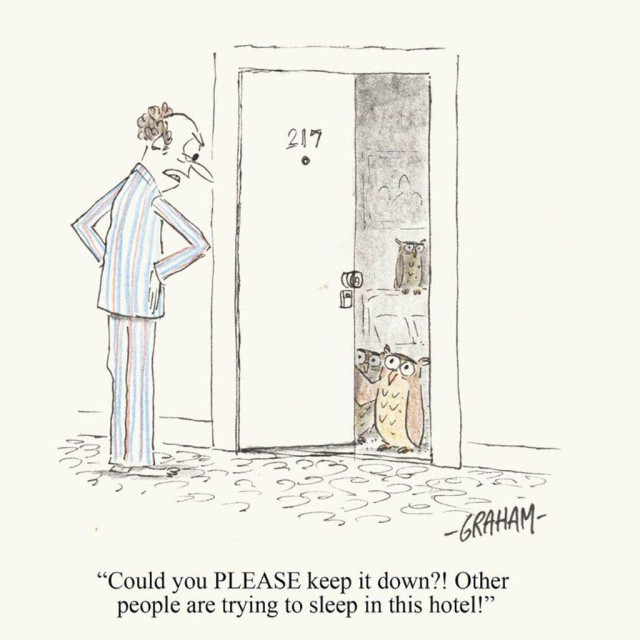 A cartoon illustration of a man in his pajamas talking to a group of owls at their hotel room door. Caption reads "Could you PLEASE keep it down?! Other people are trying to sleep in this hotel!"