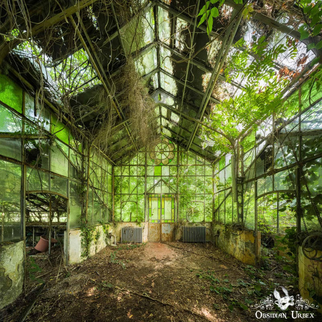 An overgrown, abandoned greenhouse, its glass panels broken and covered in vines and green foliage. Nature reclaims the structure.