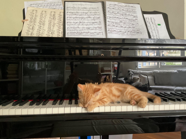 A ginger cat lying asleep on the keys of a black piano with sheet music in the background.