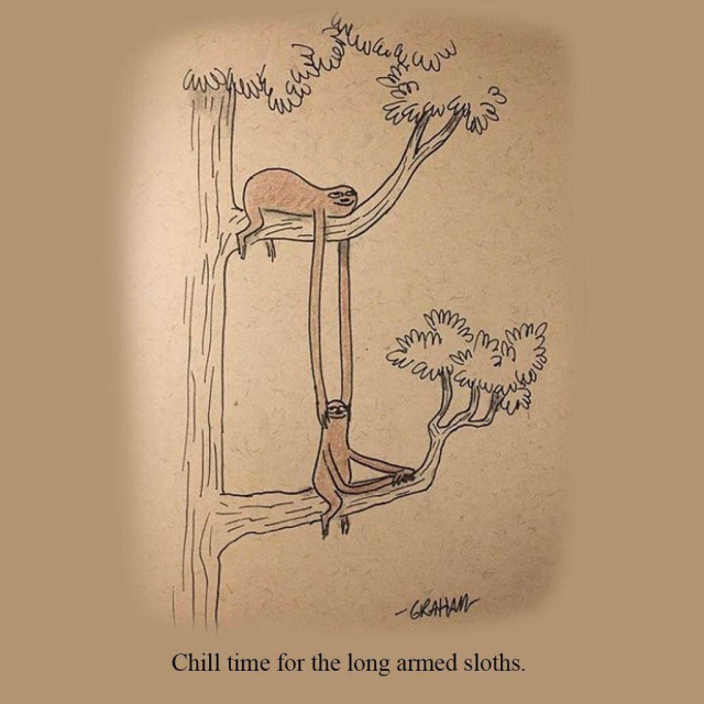A cartoon illustration of a two sloths with unusually long arms lazily hanging out in a tree together. Caption reads "Chill time for the long armed sloths."