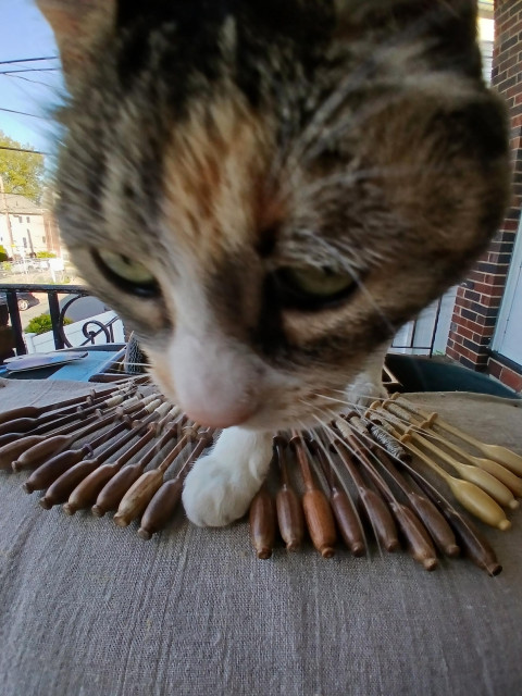An irksome calico on the front porch as I'm trying to make lace has decided her best path is right across my work and right into my face. Mostly you can see her giant head right in front of me, she's got one paw right between my lace bobbins and you can't see much else because she's in the way.
