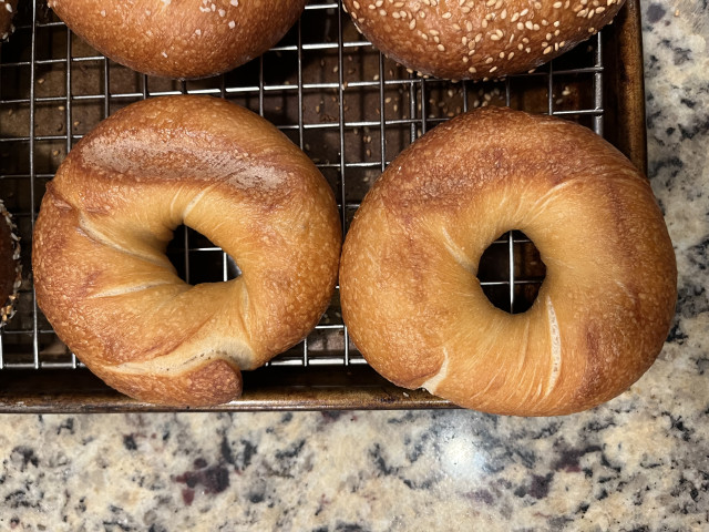 Vertical aspect photo showing just the two plain bagels, with the scorch marks aligned along the right side. They’re otherwise golden brown and slightly blistered, with a few minor expansion marks radiating from the center.