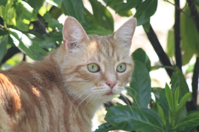 Washy spotting something interesting 