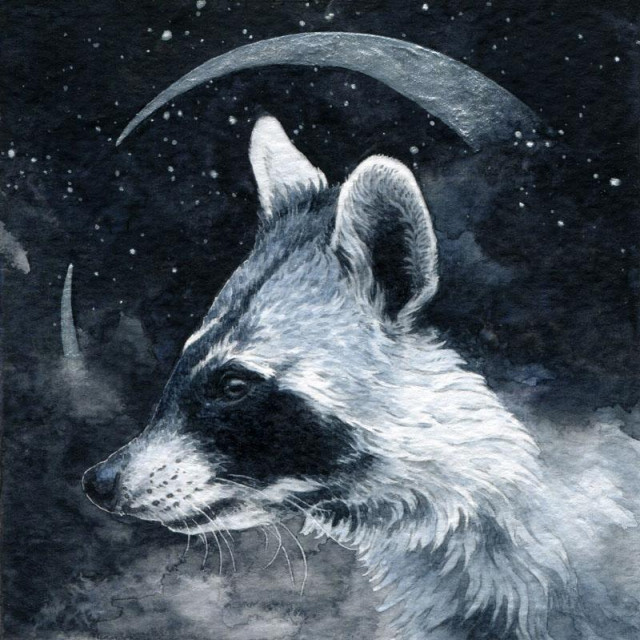 watercolor painting, the side portrait of a blueish raccoon with dark starry clouds or smoke on its shoulders. In the background there's an unrealistic crescent moon and a starry black sky. The moon and stars are silver and shiny.