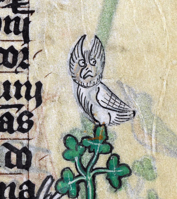 Eared owl. ‘The Maastricht Hours’, Liège 14th century. BL, Stowe 17, fol. 24v.
#medieval #MedievalArt