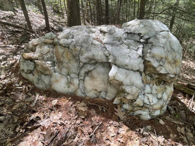 A large boulder, about the size of a large motorcycle, is sitting in leaves in the woods. It is made up of (seemingly) entirely quartz, looking patched together with lots of a smaller chunks to create one huge one. Veins of grey and patches of rusty orange highlight some of the shiny white. Evergreens are in the background. This is a magnificent rock that I stumbled upon last week.