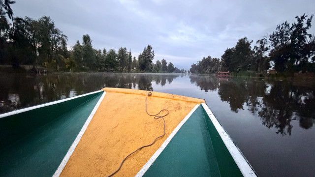 A photo of a green and gold boat moving through the canals of Xochimilco 