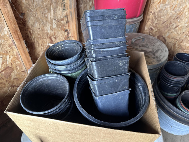 A cardboard box full of black plastic plant pots.