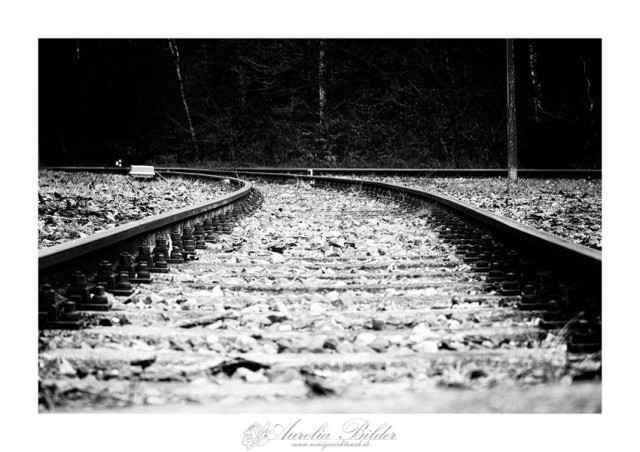 Schwarz weiß Bild tief am Boden zwischen den Eisenbahnschienen fotografiert.
