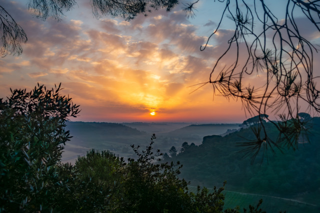 sunrise over a valley seen through trees on a wooded hill in Portugal