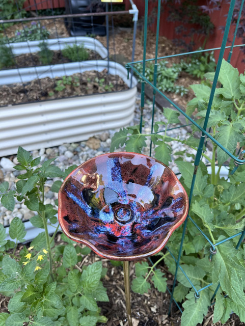 Close-up view of a flower-shaped bird/bee bath perched on a brass garden stake, surrounded by tomato plants. 

Inside glaze: Cerberus Oil Spot, then streaks of Running Hot Chowder, covered with two coats of Candy Apple Red. Outside glaze: four coats of Candy Apple Red.