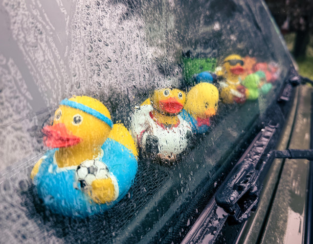 A line of rubber ducks in a car window sitting on the dashboard. The windshield is covered in raindrops. The nearest duck has a blue jersey and is holding a soccer ball. The next one is a red and white hockey duck. The others are out of focus in a line behind. 