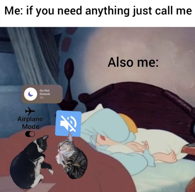 A two-part image with the text "Me: if you need anything just call me" at the top. Below is the text "Also me:" next to a cartoon illustration of a person sleeping deeply in bed. Overlaid on the bed are images of two sleeping cats, an activated "Do Not Disturb" notification, a turned-on "Airplane Mode" toggle, and a muted ringer icon.