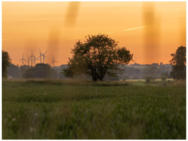 A silhouette of a tree stands in the foreground against a vibrant sunset. In the background, several wind turbines are visible amidst rolling hills, contributing to a serene rural landscape.
