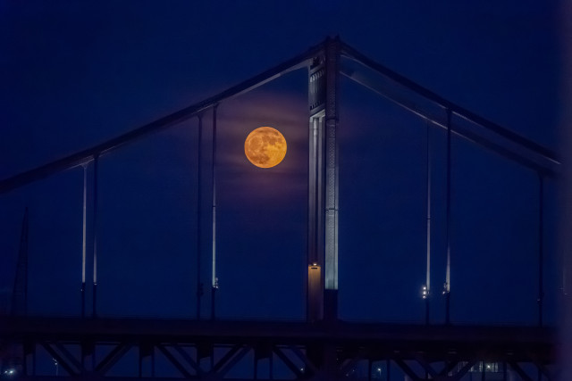 Nächtliche Aufnahme einer großen Brücke im blauen Dämmerlicht. Zwischen den Brückenseilen leuchtet ein orangefarbener Vollmond, während die Konstruktion als dunkle Silhouette zu sehen ist.