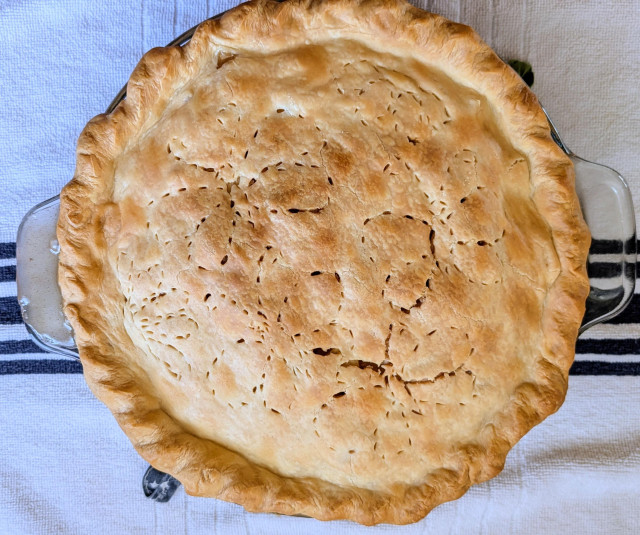 Apple pie with a butterfly vent design on the top crust. Very hot right out of the oven. 