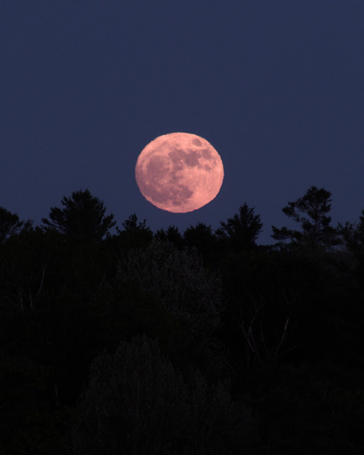 The rising moon a few minutes ago