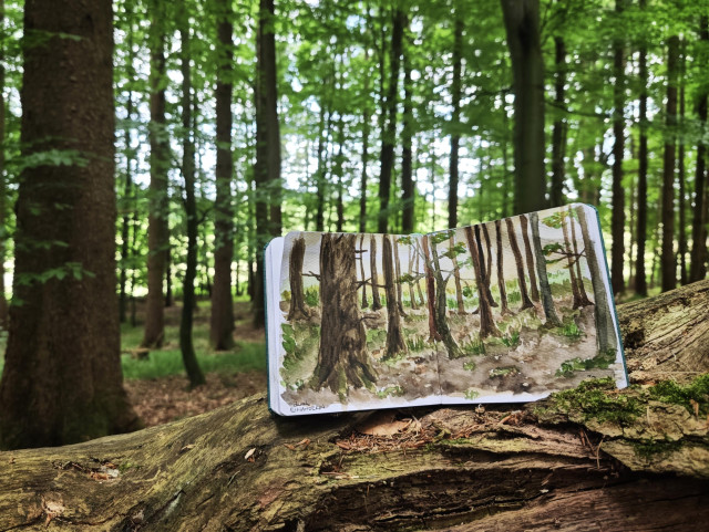 Das Foto wurde in einem schattigen Wald aufgenommen und zeigt im Vordergrund ein geöffnetes Skizzenbuch, das auf einem schon vor längerem umgestürzten, moosigen, alten Baumstamm liegt bzw. leicht schräg steht. Auf der aufgeschlagenen Doppelseite ist eine Aquarellskizze dieser Waldszene mit hohen Baumstämmen und etwas Unterholz zu sehen.