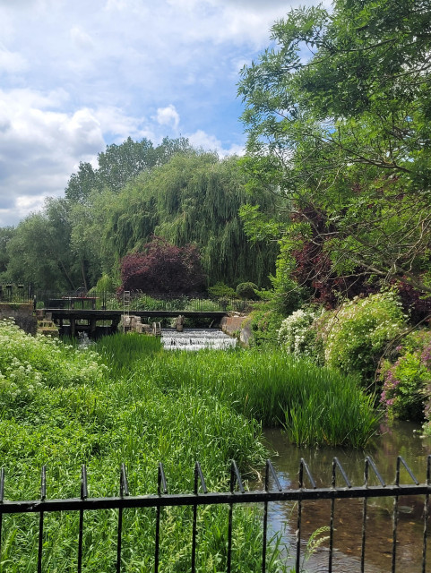 A beautiful river is cascading down some man made stairs and all around are trees of different heights and colours, greens, reds, reeds.