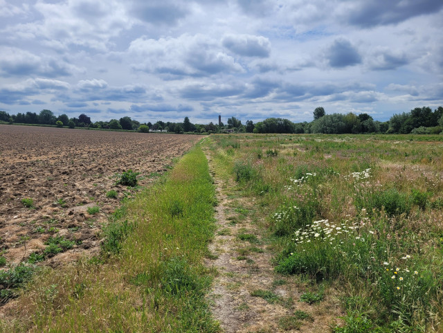 A well trodden path running between two fields both in different states of pasture, both being rewilded intentionally. The sky has lots of fluffy grey clouds dotted about. There's not a soul in sight.