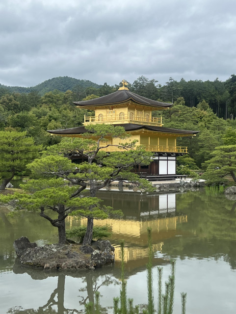 Three-storied Japanese temple, the two top levels primarily in yellow with brown roofs and the bottom in brown & white, stands above a still pool where its image is reflected perfectly. Surrounding green mountains and a park lush with greenery and manicured trees frame the elegant building, all under a gray, cloudy sky. 