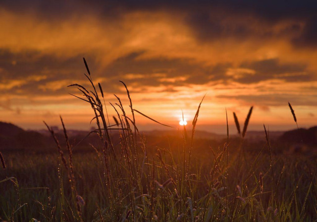photo of a sun setting in bright, warm tones, colouring a turbulent sky above. High grass in the foreground is covered in droplets from rain that fell half an hour ago. Relief from heat. 