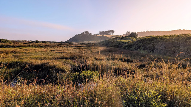 Grassy marsh fields with Table Bluff, California in the distance very early in the morning.
