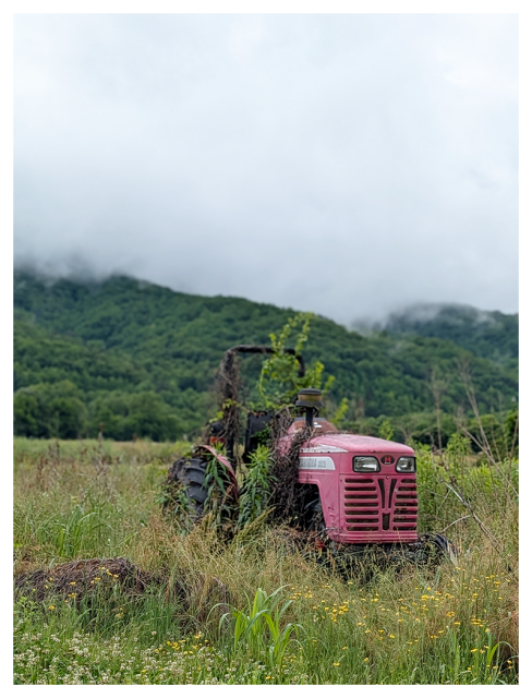 an old, red tractor overgrown with grass and plants sits abandoned in a wild, grassy field. misty green hills and dense trees are visible in the background beneath a cloudy sky.