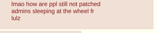 A screenshot from 4chan.  It reads:  lmao how are people still not patched. admin sleeping at the wheel for real. lulz 